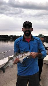 Striped bass caught by three people at Old Orchard Beach
