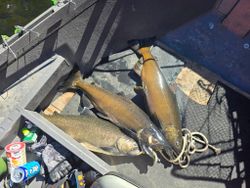 A productive day out on the water.