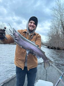 Chum Salmon caught fishing in NY