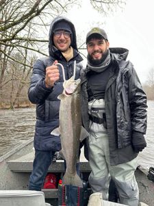 Coho salmon fishing in NY