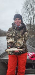 Rainbow trout caught while fishing in NY