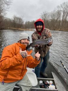 Rainbow trout caught in NY