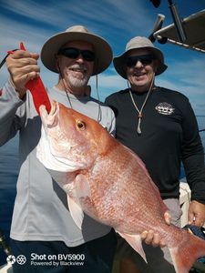 Offshore Fishing Guide for Snapper & Grouper