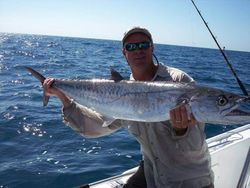 King Mackerel Fish reeled from Florida