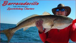 Redfish from Tampa Bay