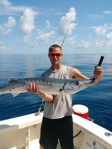 Barracuda Fish reeled from Florida