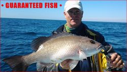 Mangrove Snapper fishing in Florida