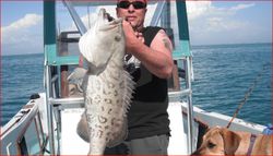 Grouper Fish from Gulf of Mexico