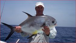 Permit Fish From Gulf of Mexico