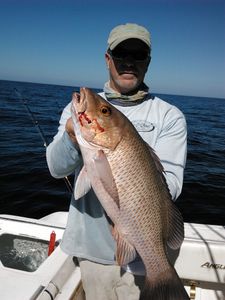 Red Snapper from Tampa Bay