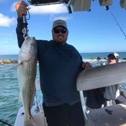 Angler with a 29-inch catch in Port Orange