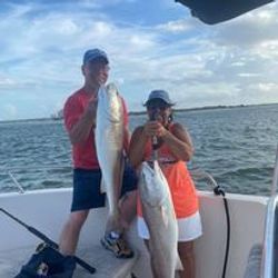 Two yellow bullhead fish caught in Port Orange