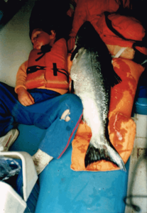 Bodega bay Fishing Charters For Salmon