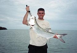 One angler fishing in Flamingo