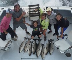 Striped bass caught by group of 6 people fishing in NY