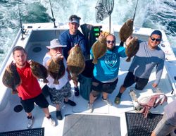 6 summer flounder, southern flounder, and pacific halibut caught fishing in NY