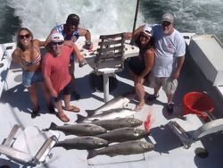 Three fish caught fishing in NY