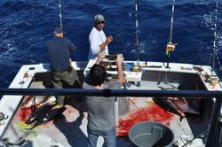 Fishing in Montauk