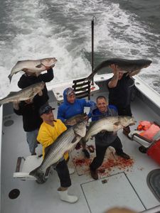Striped bass fishing in Montauk