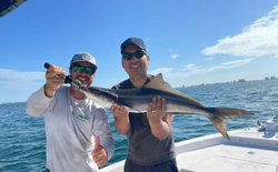 A cobia fish measuring 32 inches caught while fishing in FL