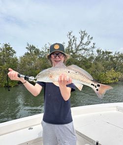 Redfish caught while fishing in Sarasota