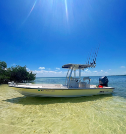Picturesque Sarasota coastline, fishing rods, and scenic view
