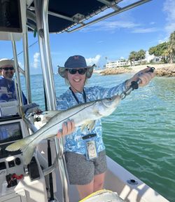 Snook fish caught in FL