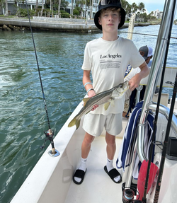 Snook fish caught in FL
