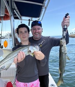 2 snook fish caught while fishing in FL