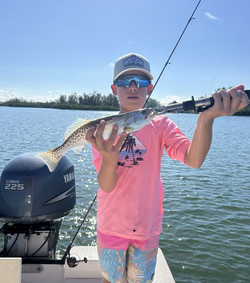 Spotted weakfish measuring 16 inches, caught in Sarasota, Florida