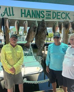 7 black grouper in FL