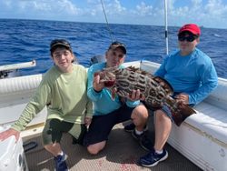 Black Grouper fish caught while fishing in FL
