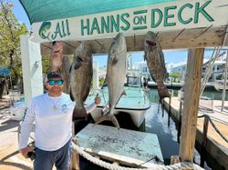 4 Longfin Yellowtail fish caught while fishing in FL