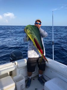 Pollock fish caught while fishing in FL