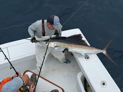 Fish-Species