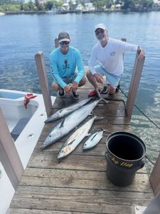 Discover why Palm Beach is a favorite destination for anglers.