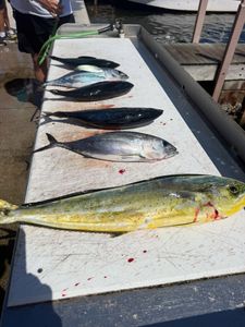Get ready for an exciting fishing trip in Palm Beach, Florida.