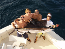Impressive catch of a 36-inch Atlantic Sailfish in Palm Beach