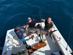 Majestic Atlantic Sailfish caught in Palm Beach