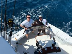 Atlantic Sailfish caught at Palm Beach