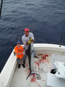 Majestic Atlantic sailfish caught in Palm Beach