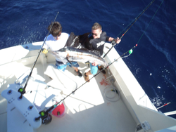 Picture of an angler catching a large Atlantic sailfish in Palm Beach