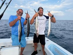 4 King Mackerel and Great Barracuda fish caught in FL