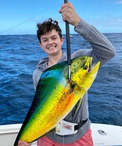 Mahi Mahi or Common Dolphinfish caught while fishing in FL