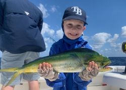 Casting lines in Palm Beach, Fishing mahi-mahi