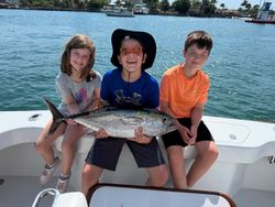 Blackfin tuna caught by 3 people in Palm Beach
