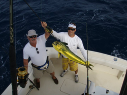 Reeling in Mahi Mahi in West Palm Beach