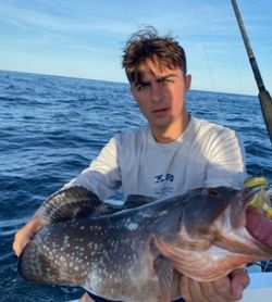 Lingcod fish caught while fishing in Palm Beach