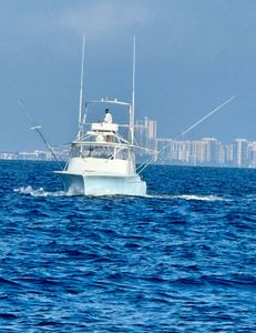 A stunning view of Palm Beach