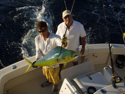 Two anglers enjoy a great day of fishing in Palm Beach